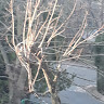 Profile picture of Malo38
