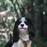 Profile picture of BillyNoMan