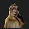 Profile picture of M_Lana