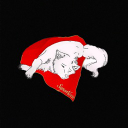 Profile picture of supernova_off