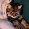 Profile picture of Alexis_9597