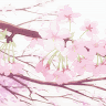 Profile picture of Lola_Gauci