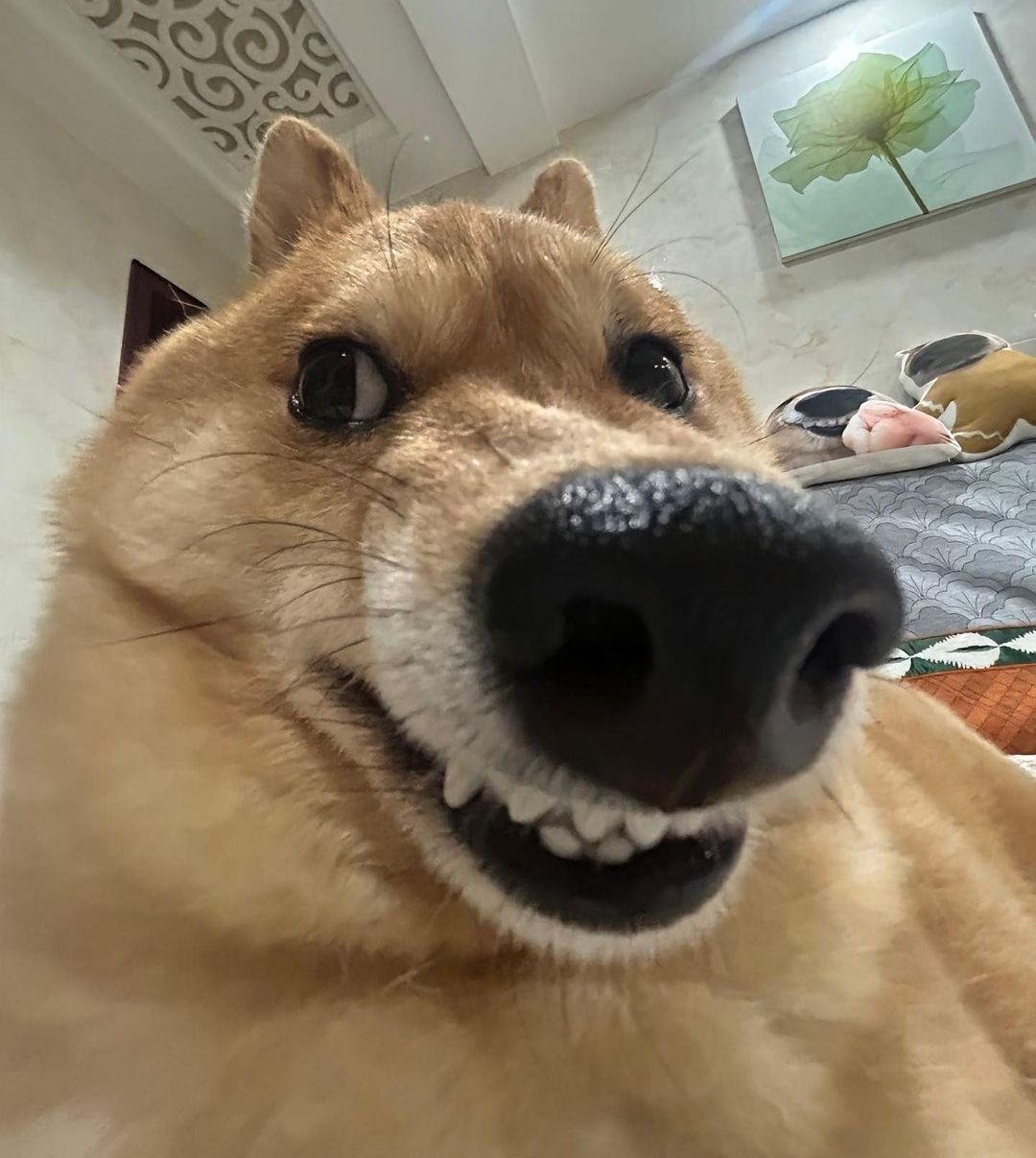 Profile picture of Diego_8103