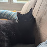 Profile picture of Eliot